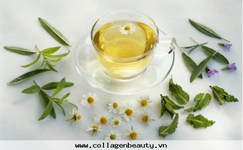 trà hoa cúc bảo vệ sắc đẹp làn da bạn, uống trà xanh giúp bạn giảm căng thẳng và giảm cân, trà kết hợp với mật ong phòng ngừa ung thư, sinh tố cà chua giúp da chống lão hóa và ngày càng tươi trẻ, trẻ hóa da nhờ trà xanh