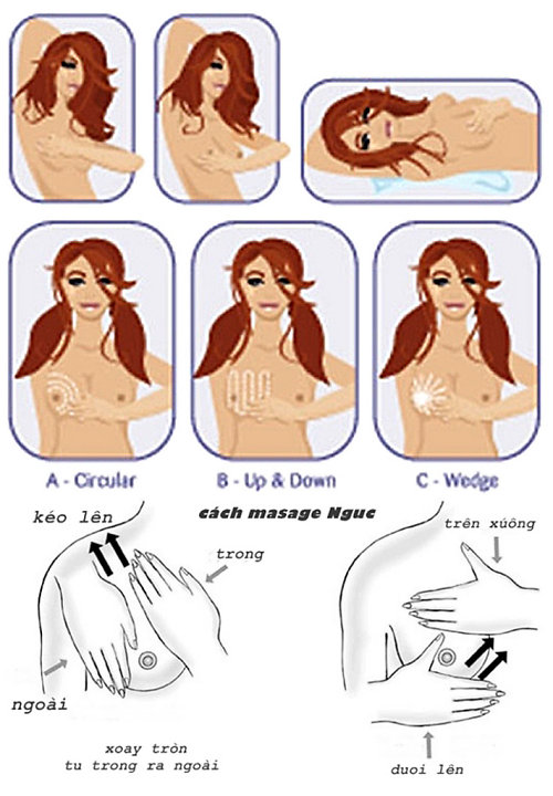 Cách massage ngực hiệu quả khi sử dụng kem nở ngực Bio Pro