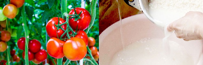 Cách làm trắng da mặt hiệu quả với cà chua
