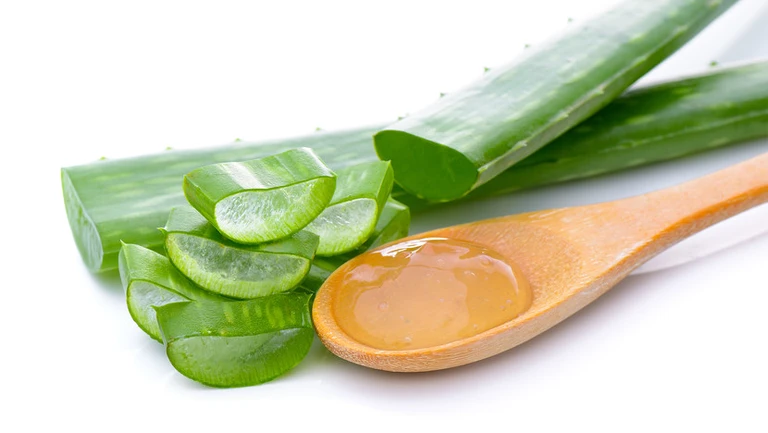 Nha đam được đánh giá cao nhờ khả năng loại bỏ mụn ẩn, thu hẹp lỗ chân lông, tái tạo da