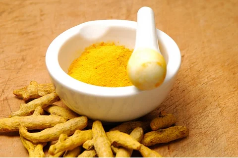 Nghệ tươi