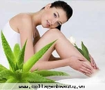 Thảo mộc nào giúp da khỏe mạnh