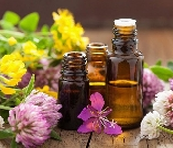 6 Dụng cụ giúp bạn muốn chăm sóc da chuẩn spa tại nhà