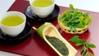 Cách giảm cân hiệu quả nhất với chiết xuất trà xanh pro slimming 