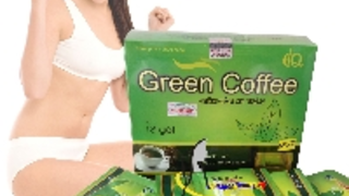 Sản phẩm trà green coffee tốt nhất