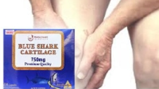 Tác dụng của sụn vi cá mập trong điều trị xương khớp