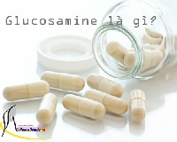 Glucosamine là thuốc gì và tại sao phải bổ sung Glucosamine?