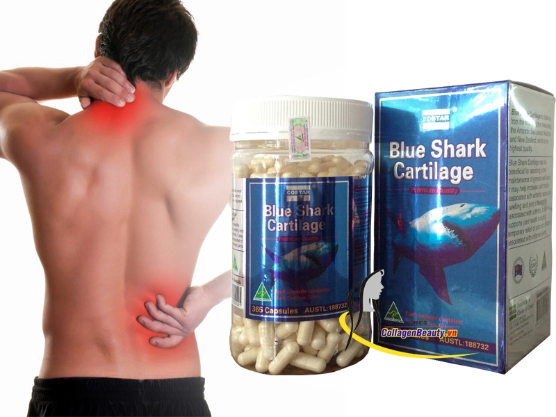 Blue Shark Cartilage Costar cung cấp dinh dưỡng cho sụn, tái tạo sụn khớp