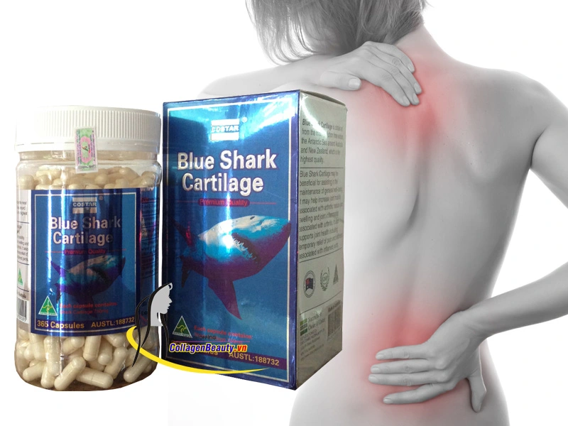 Sụn Vi Cá Mập Blue Shark Cartilage Costar 365 Viên ức chế các men phá huỷ sụn, khớp