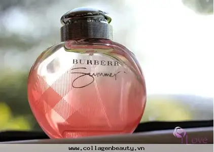 burberry-summer-for-women-20110.jpg